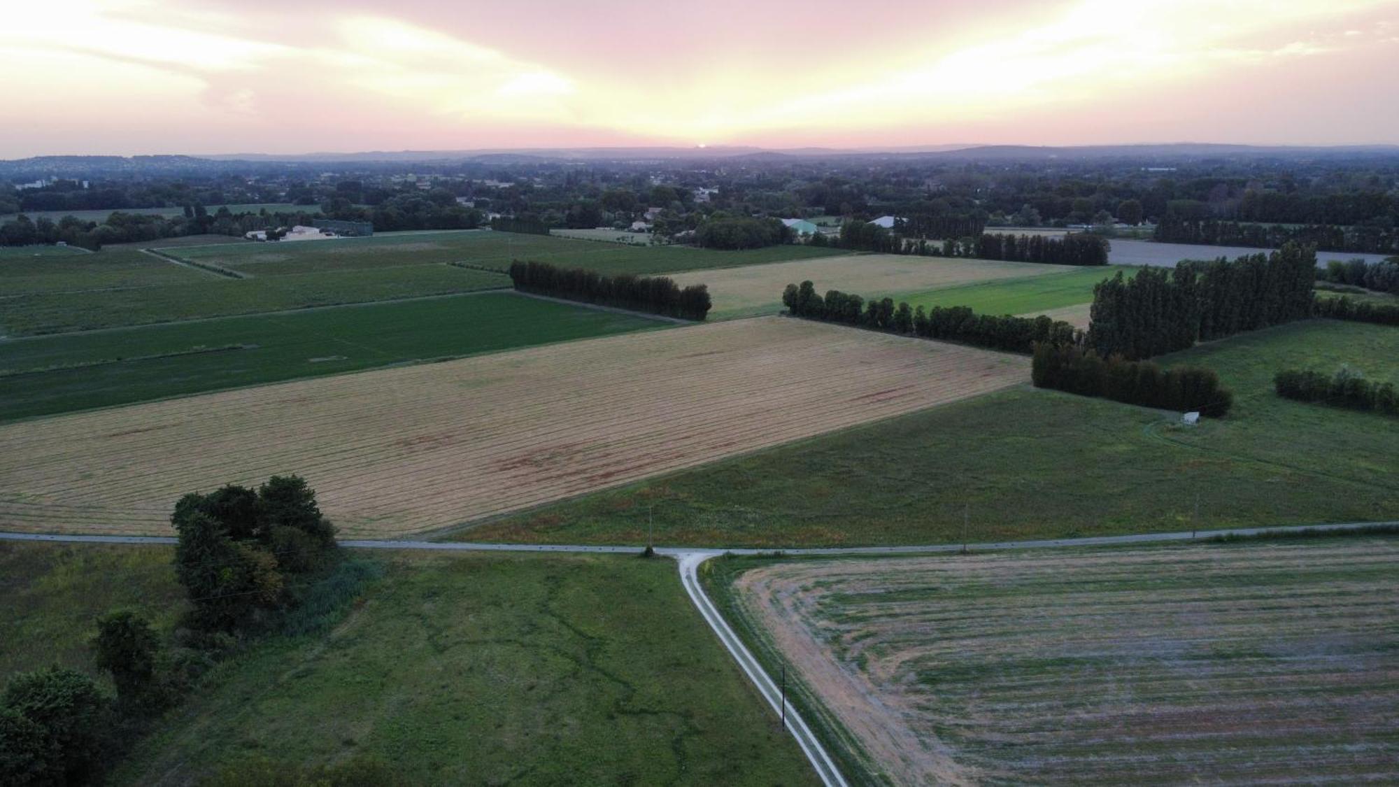 Le Mas Des Perrines Maison D'Hotes Pernes-les-Fontaines Zewnętrze zdjęcie